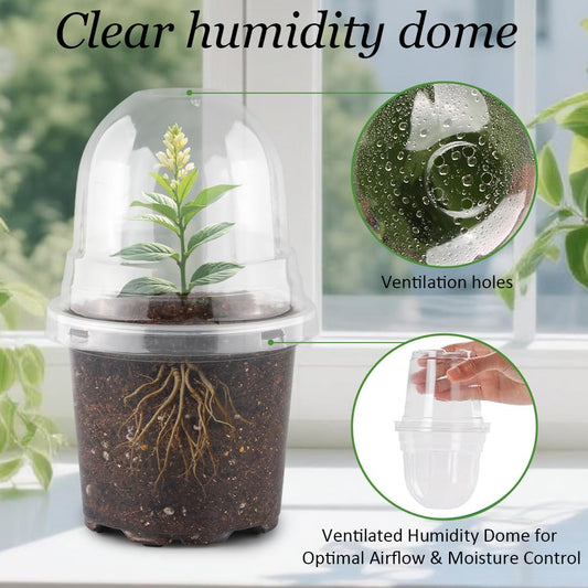 Transparent Nursery Pots 4Inch with Humidity Domes for Seeds Starting, Clear Plastic Plant Pots with Drainage Holes (4Inch, 30Pcs,Clear Pots with Lids)