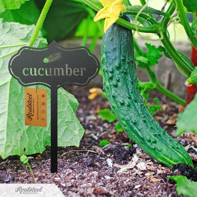 RealSteel - Seed & Plant Markers - Indoor/Outdoor Herb Garden Stakes - Elegant Fruit/Vegetable Seed Labels - Durable Plant Tags for Pots - Classy Design for Farmhouse/Greenhouse (Corn)