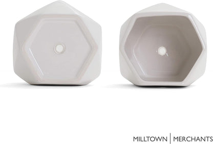Milltown Merchants Succulent Wall Planters - White Ceramic Mounted Planters - Succulent Pots - Hanging Vases for Living Wall (1 Pack/Geometric/White)