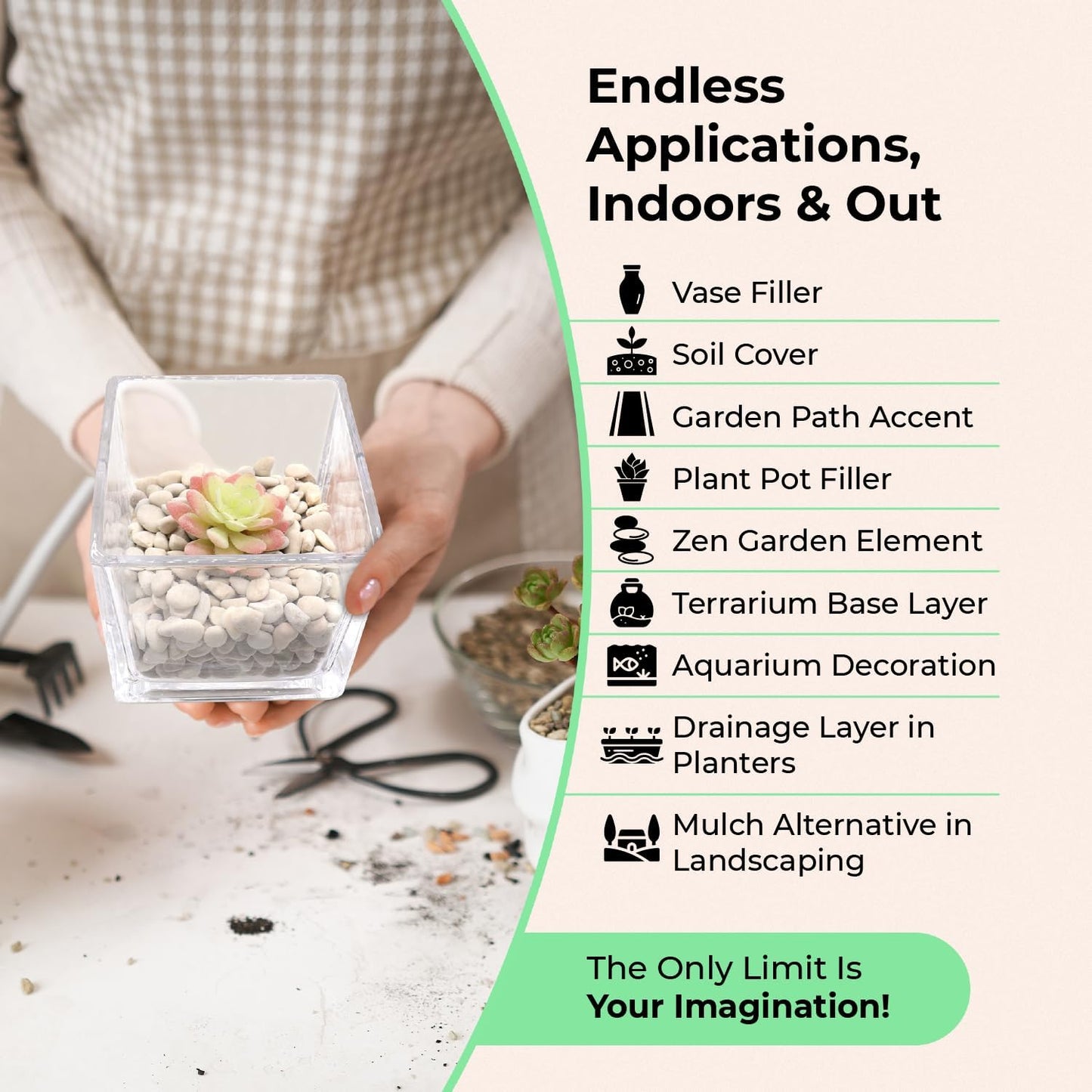 Black Rocks for Plants. Black Decorative Polished Pebbles. 1/5 Inch – 5 lbs. for Plants, Garden, Landscaping, Vase fillers, Succulents, pots (Mini (0.2 Inch), Black -Polished, 5)