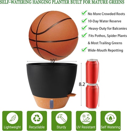 10 Inch Hanging Planters for Indoor Plants, 2 Pack Self Watering Hanging Baskets Flower Pots with Drainage Hole, Visual Reservoir & 2 Kinds of Plant Hanger for Outdoor Garden Home Decor（Black）