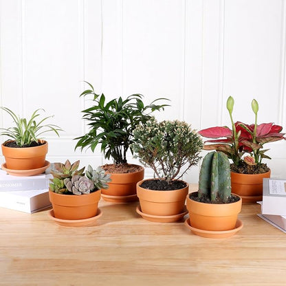 INGOFIN 5 Inch Terracotta Shallow Pots Set with Saucer - Ceramic Clay Pots with Drainage Hole, Terra Cotta for Plants for Indoor Outdoor Plants, Set of 6