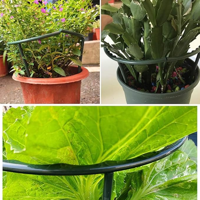 10 Pack Plant Support Plant Stakes Metal Half Round Search Support Ring Small Plastic Cage Holder Short Stem Flower Pot Climbing Trellis for House Flower Vegetable Indoor Leafy(5.7 x 9.8inch)