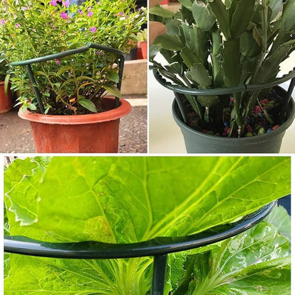 10 Pack Plant Support Plant Stakes Metal Half Round Search Support Ring Small Plastic Cage Holder Short Stem Flower Pot Climbing Trellis for House Flower Vegetable Indoor Leafy(5.7 x 9.8inch)