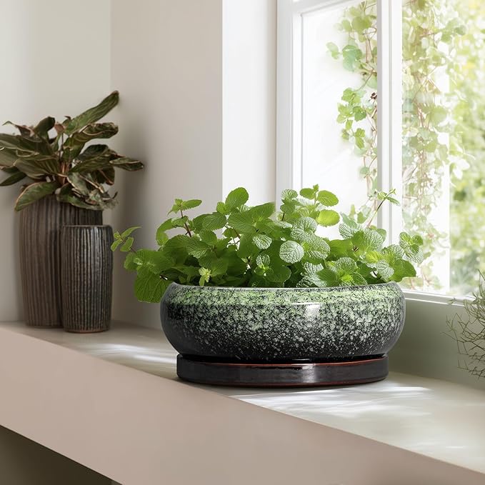 Bonsai Pots - 13 Inch Ceramic Succulent Planters Indoor, Round Shallow Planter with Drainage Hole and Saucer, Large Succulent Pot, Bowl Planter Outdoor, House Decor, Housewarming Gift, Green