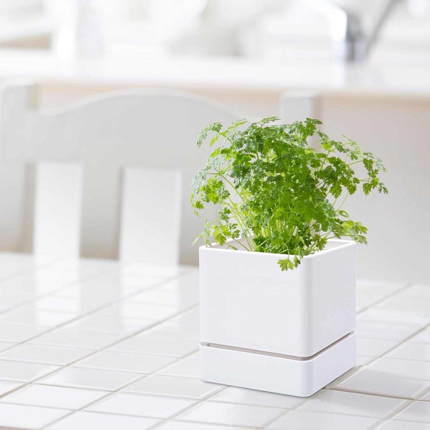 4 Inch Herb Planter Pot, Plastic Planter with Drainage Holes and Saucer, Modern Decorative Gardening Pot for Indoor Plants, Flowers, Herbs, Succulents, White, Set of 1, 76-Y-A-1