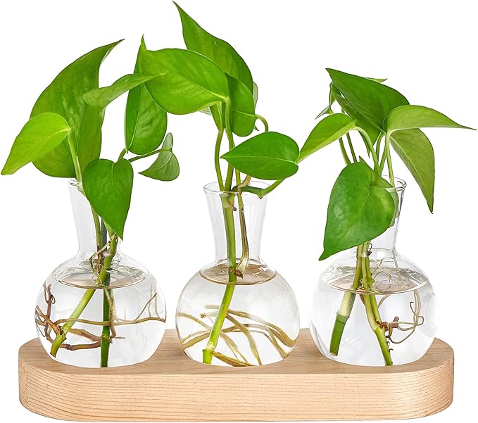Mkono Desktop Plant Propagation Glass Vase Station Retro Plant Terrarium with Wooden Tray Bulb Flower Vase Container Perfect for Propagating Hydroponic Plants Home Office Decor Plant Lover Gift Idea