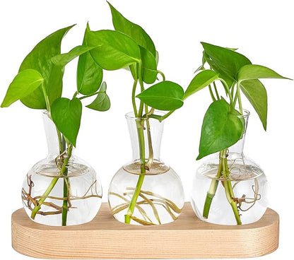 Mkono Desktop Plant Propagation Glass Vase Station Retro Plant Terrarium with Wooden Tray Bulb Flower Vase Container Perfect for Propagating Hydroponic Plants Home Office Decor Plant Lover Gift Idea
