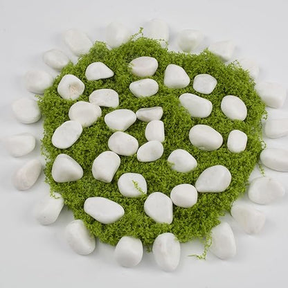 20 lbs White Polished Garden Stones, 0.5-1 Inch Decorative Rocks for Landscaping, Pathways, Yard Borders, Pots, Aquarium Decoration, and DIY Craft Projects (Pure White, Weight: 20 LB)