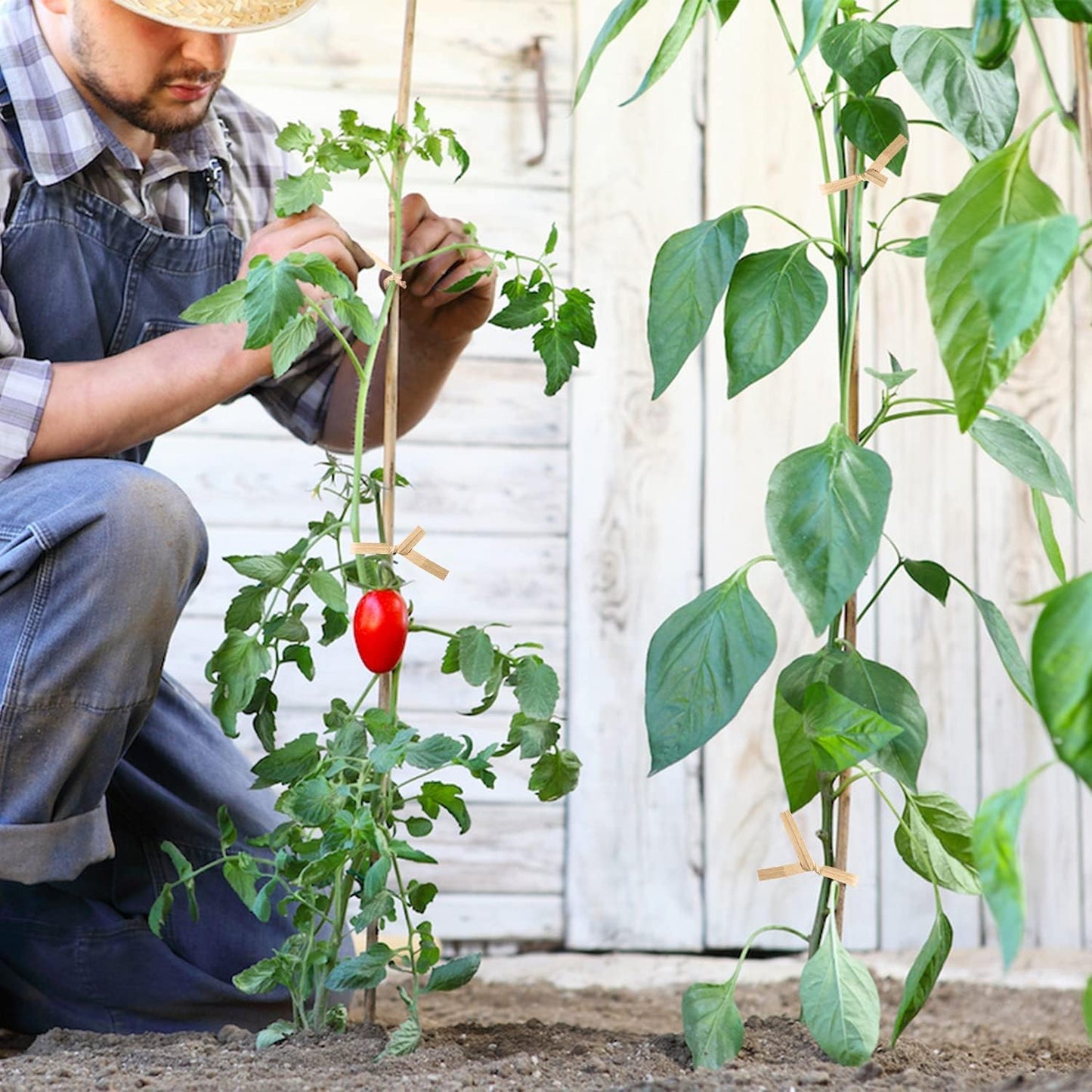 1000 Pcs Twist Ties, Kraft Paper Twist Ties Plant Ties Reusable Bread Ties for Party Cello Candy Coffee Treat Bags Cake Pops (6")
