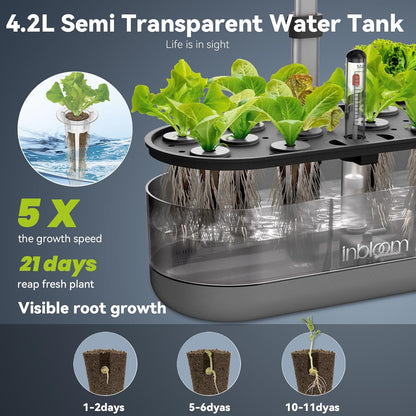 inbloom 12 Pods Hydroponics Growing System Kit, Herb Garden Planter Indoor Kit, Indoor Gardening Hydroponics Growing System with 4.2L Water Pump, Height Adjustable, Gifts for Woman, Transparent Black