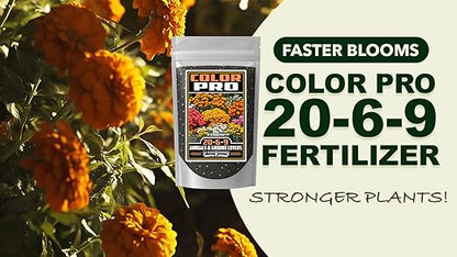 Fertilizer Commercial Grade | Color Pro 20-6-9 | 2 Pounds | Custom Professional Mix Blend | Controlled Release for Annuals & Groundcovers | 6 Month Nutrition | Balanced NPK Formula with Micronutrients
