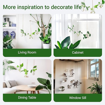 Propagation Station, Plants Terrarium, Plants Lover Gifts for Women,Plant Cutting Holder Home décor,Gifts for Women,House Warming New Home-3 Geometric Shape