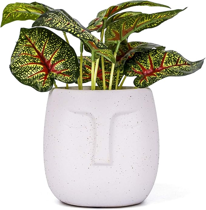 VanEnjoy 5.5 Inches White Ceramic Head Face Planter Pot for Plants, Modern Indoor/Outdoor Vase, Face Statue Plant Pot for Home Decoration