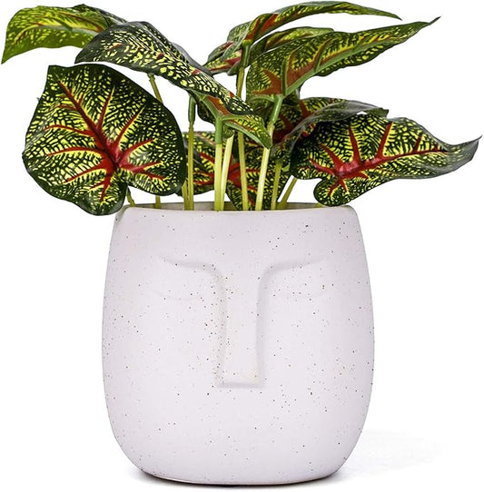 VanEnjoy 5.5 Inches White Ceramic Head Face Planter Pot for Plants, Modern Indoor/Outdoor Vase, Face Statue Plant Pot for Home Decoration