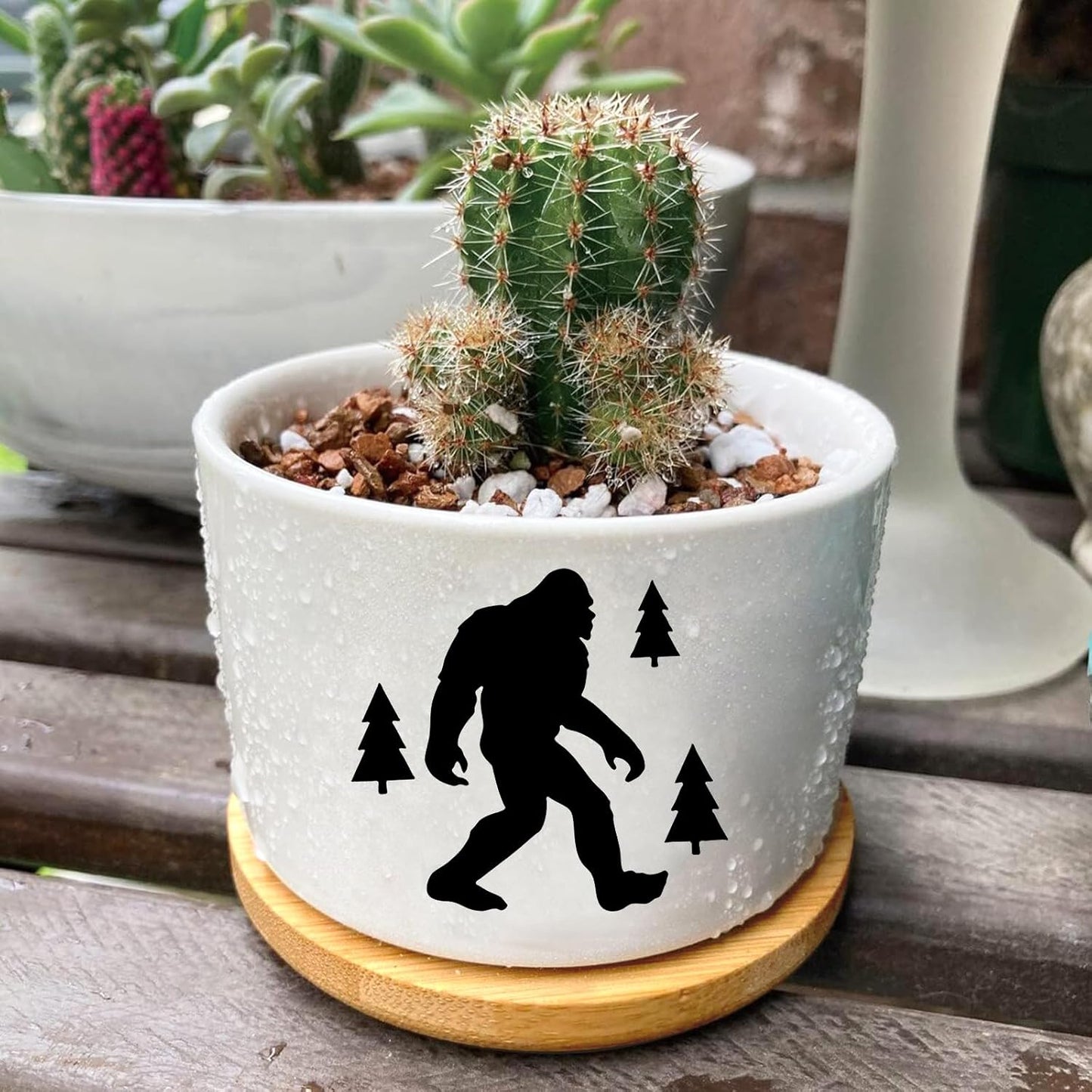 Window Garden Bigfoot Planter Pots,Bigfoot Gifts for Women/Men/Housewarming/Wedding/Festival Birthday Gifts Planter Pots,Outdoors/Indoors,Window Decor,Garden Decor,Yard Decor,Home Decor,Office