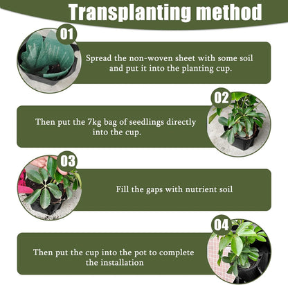 Self Watering Wall Planter with 3 Pots, Vertical Garden Planter for Indoor Plants, Mounted planters Hanging Flower Herbs Vegetables, Wall Garden for Home