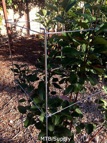 Galvanized Square Folding Tomato Cage Plant Support Stake Tower 12 inch by 46 inch, Pack of 10 Sets(Also Sold as Pack of 2 & 5,PVC Green is Available)