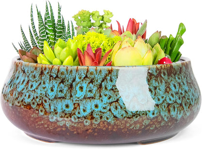 ARTKETTY Succulent Pots - 8 Inch Plant Pot, Large Bonsai Pots with Drainage, Ceramic Planters for Indoor Outdoor Plants, Round Shallow Cactus Flower Plant Container Bowl Decorative Home Garden