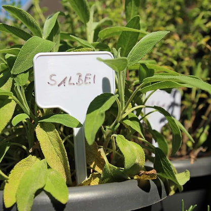 Garden Markers Waterproof, Outdoor Large Plant Id Tags Tall Plant Labels, Plastic Garden Signs Identification Stakes, for Vegetables Herb Seed Pot Flower, 50pcs 11'' Long