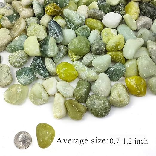 5LB Succulent Jade Pebbles for Indoor Plants, 0.7-1.2 Inch Natural Polished Stones,Decorative River Rocks for Succulent, Vase, Flowerpot, Landscaping, Outdoor Garden and Planters