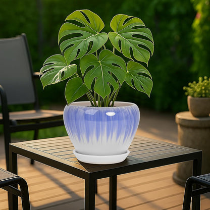 Deep Dream 8 Inch Plant Pots- Ceramic Pots for Plants with Drainage Hole and Saucer, Large Planter Pot for Indoor Plants Outdoor Decor, White&Blue