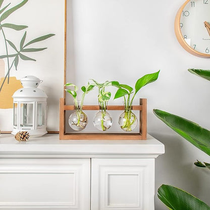 Propagation Station, Plants Terrarium, Plants Lover Gifts for Women,Plant Cutting Holder Home décor,Gifts for Women,House Warming New Home-3 Bulbs-Easy