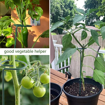 10 pcs 24 inch Metal Single Stem Flower Plant Support Stakes and Rings for Amaryllis Orchid Lily Sunflower Rose Narcissus