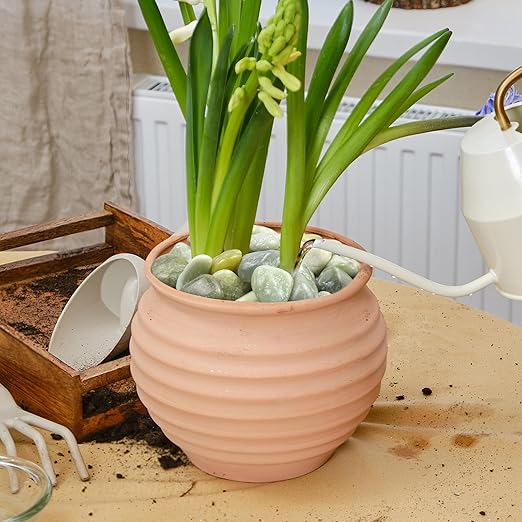 2LB Jade Pebbles for Indoor Plants, 0.7-1.2 Inch Natural Polished Stones,Decorative River Rocks for Succulent, Vase, Flowerpot, Landscaping, Outdoor Garden and Planters