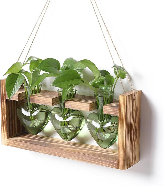 Plant Terrarium Propagation Stations Hydroponics Home Garden Decoration Gift for Women with Wooden Stand Heart Shaped Colored Glass Vase