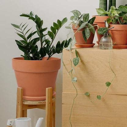 INGOFIN Terracotta Pot with Saucer - 10 Inch Ceramic Clay Pot for Plants with Drainage Hole, Large Terra Cotta Flower Planter with Tray for Indoor Outdoor Plants