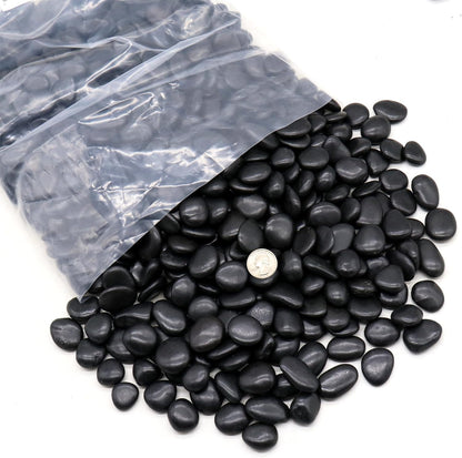 Rocks for Plants. Black Polished Decorative Pebbles. 0.5 to 1 Inch 18 lbs. for Garden, Landscaping, Indoor, Vase fillers, Crafting, Succulents, pots, Plants