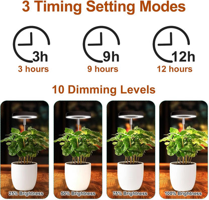 Grow Lights for Indoor Plants Small Potted - Full Spectrum, Auto 3/9/12H Timer, 10-Level Dimming & Adjustable Height - Compact Grow Light for Succulents, Herbs, Foliage in Home/Office (Black,3PACKS)