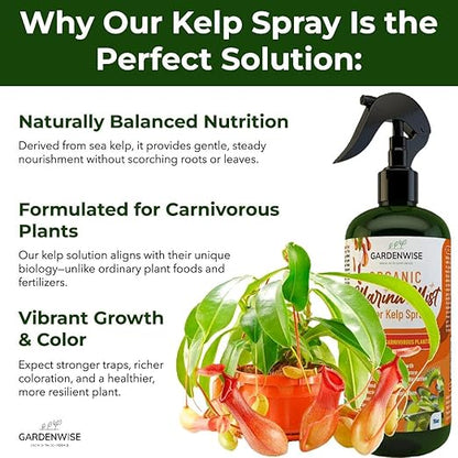 100% Organic Marina Mist Carnivorous Plant Food | Liquid Kelp Foliar Spray for Plants - Kelp Fertilizer for Venus Flytraps, Sundew, Butterworts, Pitcher Plants 16 Oz