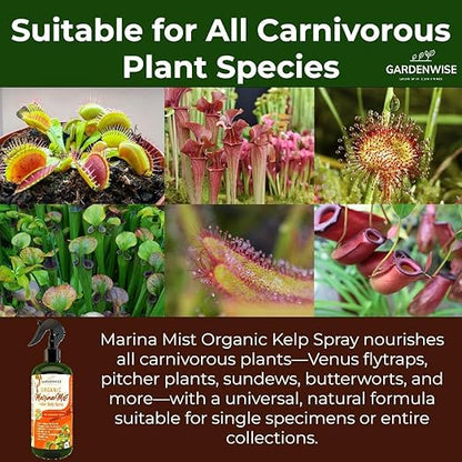 100% Organic Marina Mist Carnivorous Plant Food | Liquid Kelp Foliar Spray for Plants - Kelp Fertilizer for Venus Flytraps, Sundew, Butterworts, Pitcher Plants 16 Oz