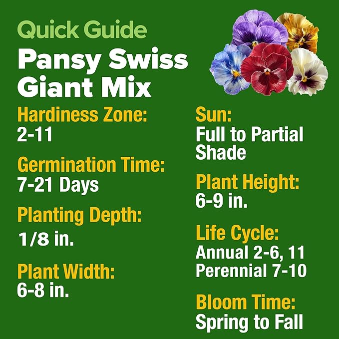 HOME GROWN Pansy Swiss Giants Mix - 1,500 Flower Seeds (2.13g) - Fall Planting Pansies Seed - Edible Viola Seeds - Cold Hardy Annuals for Containers & Outdoor Gardens (Viola × wittrockiana)