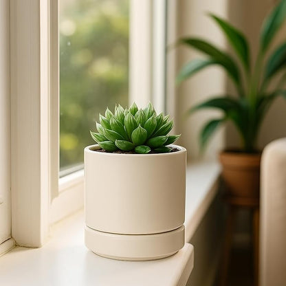 D'vine Dev 4.7 Inch Ceramic Planter Pot with Drainage Hole and Saucer, Indoor Cylinder Round Planter Pot, Oatmeal, 94-O-B-8