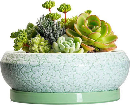 Succulent Pot 6 Inch - Ceramic Bonsai Pots Indoor Outdoor, Shallow Plant Pots with Drainage Hole and Saucer, Small Bonsai Planter, Round Bowl Planter, Desk Decor, Housewarming Gifts, Green