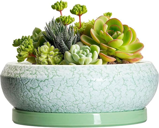 Succulent Pot 6 Inch - Ceramic Bonsai Pots Indoor Outdoor, Shallow Plant Pots with Drainage Hole and Saucer, Small Bonsai Planter, Round Bowl Planter, Desk Decor, Housewarming Gifts, Green