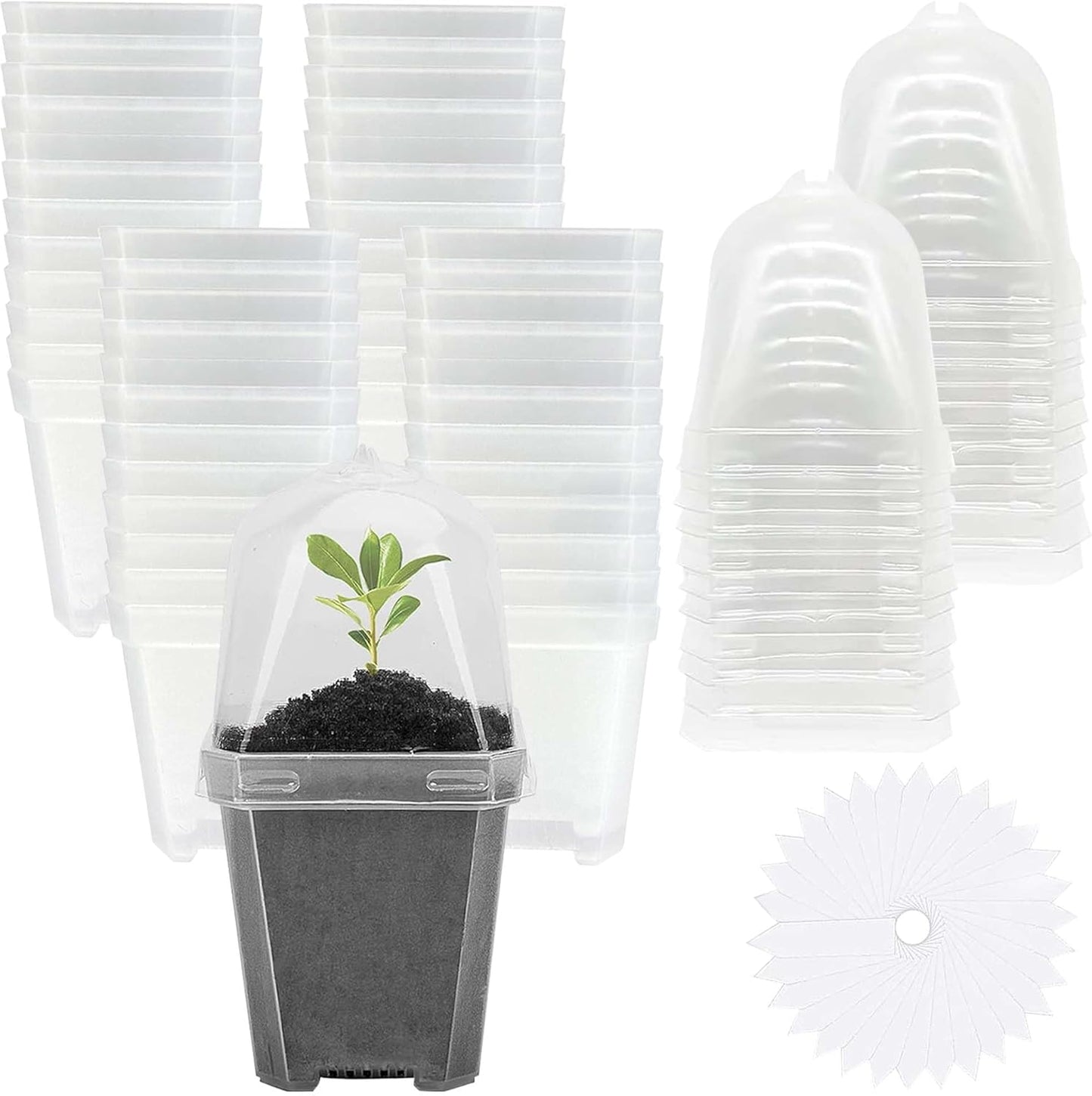EBaokuup 50 Pcs Clear Plant Nursery Pots with Humidity Dome-3" Reusable Plastic Gardening Pot with Labels-Small Seed Starting Pots for Seedlings,Vegetables,Succulents,Cuttings