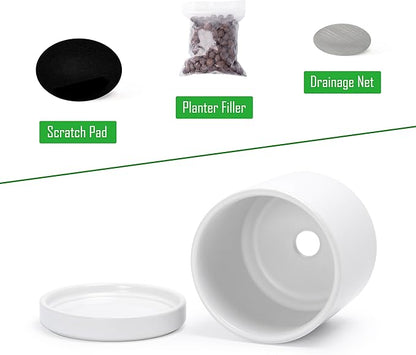 D'vine Dev 3.5 Inch Ceramic Planter Pot with Drainage Hole and Saucer, Indoor Cylinder Round Planter Pot, White, 94-O-A-1