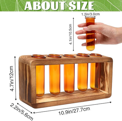 Glass Plant Propagation Station with 5 Test Tubes Colorful Planter Vase Birthday Gifts for Women in Wooden Stand