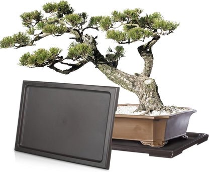 Pinkunn 6 Pcs Bonsai Humidity Tray Drip Tray Plastic Plant Water Catcher Plant Saucers for Indoors and Outdoors Cactus,Succulents,Bonsai Tree,Stone Not Included (11 x 8 Inch)