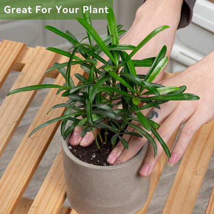 Ekirlin 3.5 in Plant Pot Indoor - Grey Cement Planters with Drain Hole, Removable Rubber Stopper, Non-Slip Soft Pad - Concrete Planter for Most Indoor Plants and Flowers