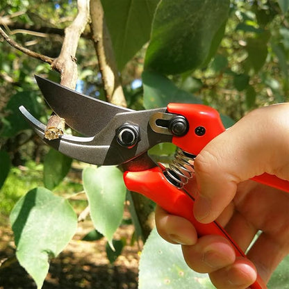 8" Lightweight Pruning Shears - Bypass Gardening Scissors, Sharp Garden Clippers with Low-friction Painted Stainless Steel Blade