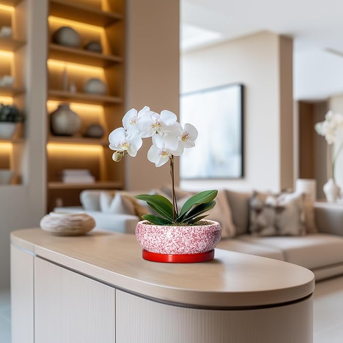 Bonsai Pots Small - 6 Inch Ceramic Succulent Pots with Drainage Hole and Ceramic Saucer, Succulent Planters Indoor Outdoor, Shallow Round Planter, Apartment Decor, Housewarming Gifts, Red