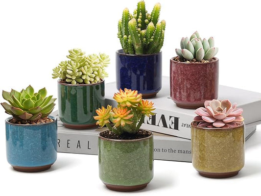 T4U 2.5 Inch Small Ceramic Succulent Planter Pot with Drainage Hole Set of 6, Ice Crack Glaze Plant Container for Cactus, Succulent Plant Gifts for Women Mom Aunt Home Office Decor