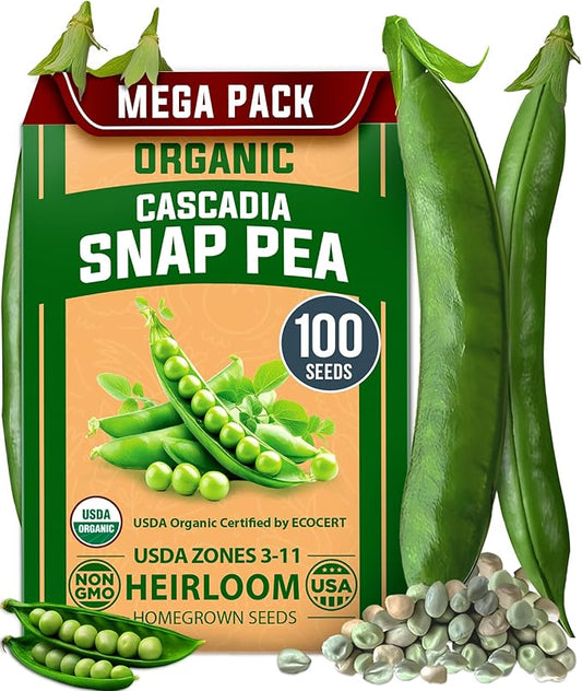 HOME GROWN - Snap Pea Seeds for Planting - Organic, Heirloom Cascadia Variety - 100 Non-GMO Vegetable Seeds - Cool Season Crop for Containers - Sweet Flavor, Fast Germination (Pisum sativum)