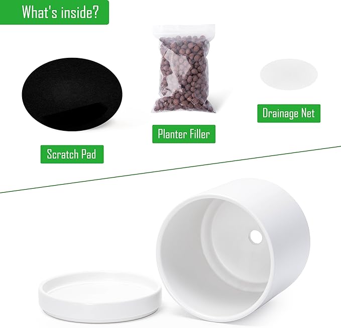 D'vine Dev 6.5 Inch Ceramic Planter Pot with Drainage Hole and Saucer, Indoor Cylinder Round Flower Pot, White, 94-O-C-1