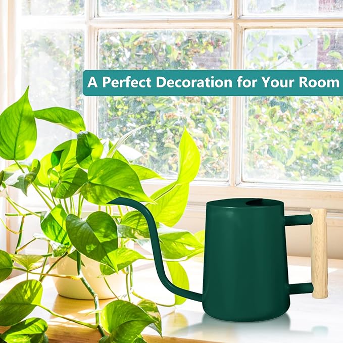 Watering Can Indoor Plants, 35oz Small Indoor Stainless Steel Metal Watering Can Modern Decorative Watering Pot with Long Spout for Indoor House Plant Bonsai Garden Flowers (Alpinegreen)